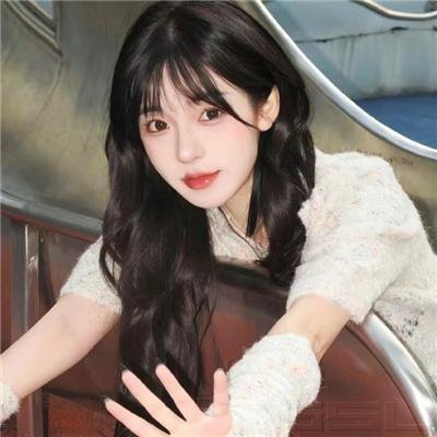 莎拉的钥匙